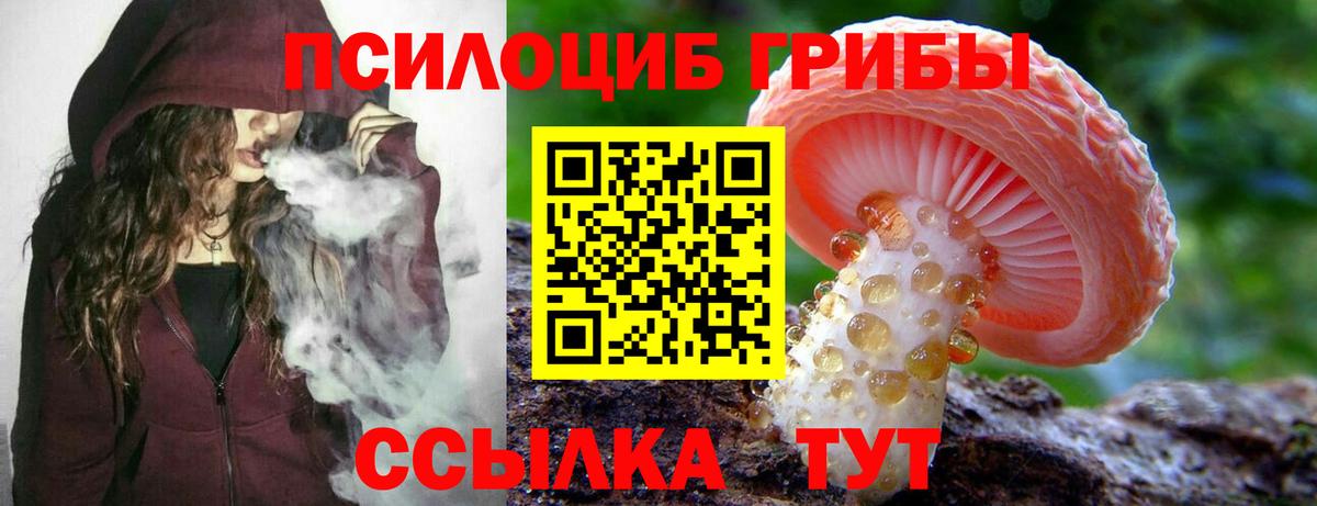 Тобольск  Галлюциногенные грибы Psilocybe  Псилоцибиновые грибы Psilocybe  Вход с VPN 